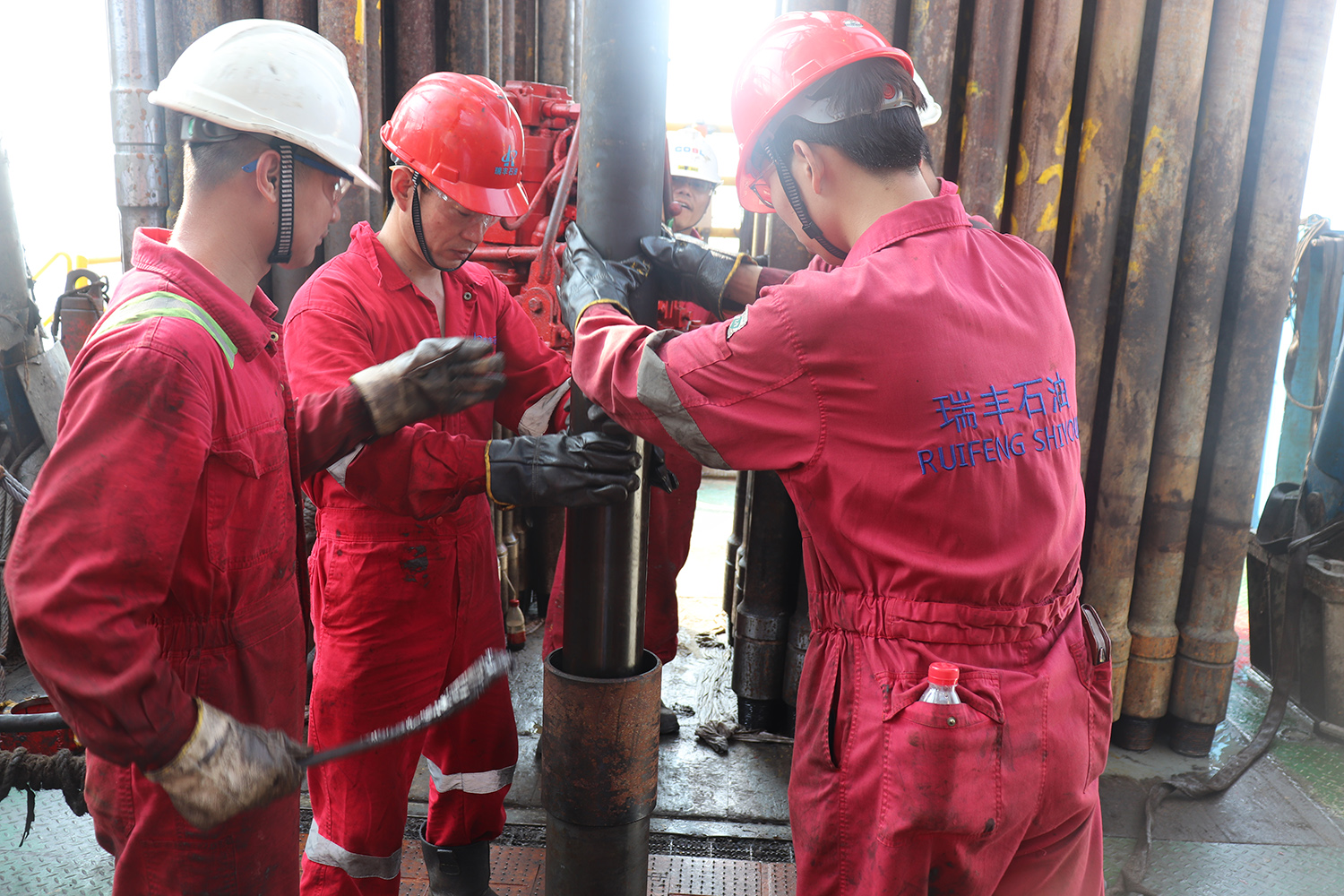 Extensive Project Management Expertise